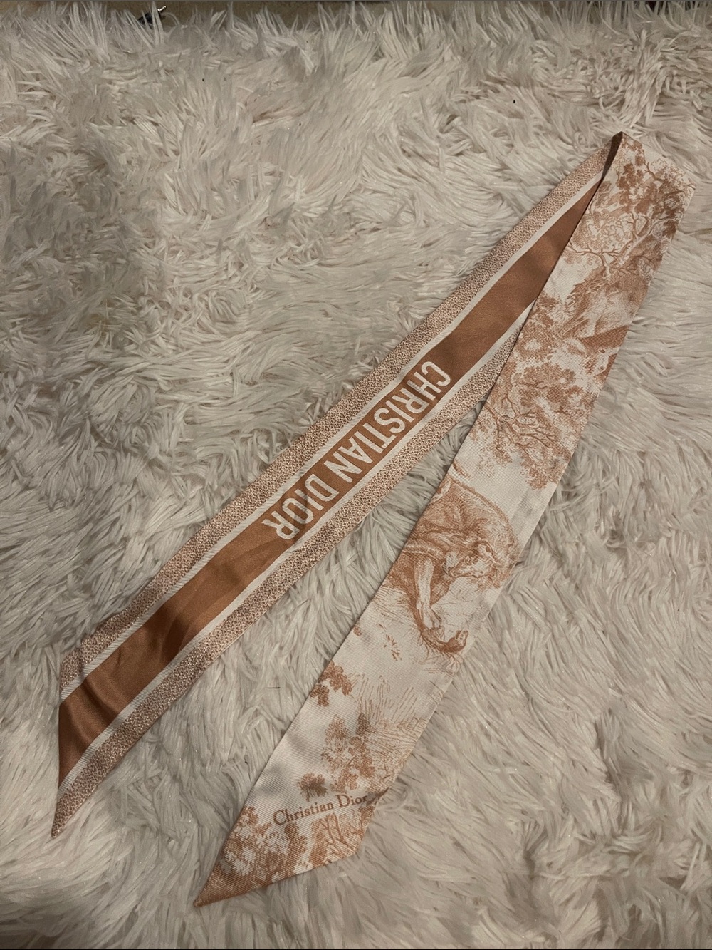 Dior Toile de Jouy Sauvage Mitzah Scarf